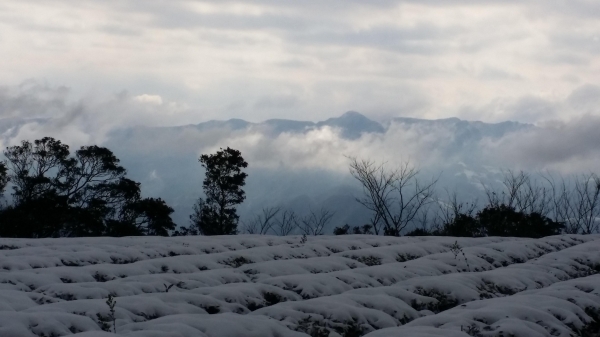 秘境追雪封面