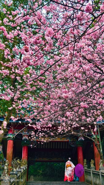 內湖碧山巖 2/182714791