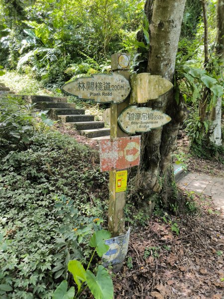 20250917微笑山線：【二格山系】和美山螢火蟲段2888896