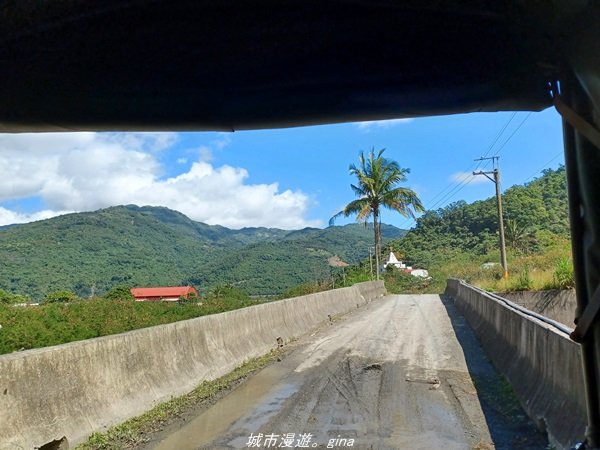 【台東。大武】一路搖晃碰碰車。小百岳集起來。  編號95小百岳-加奈美山步道1640902