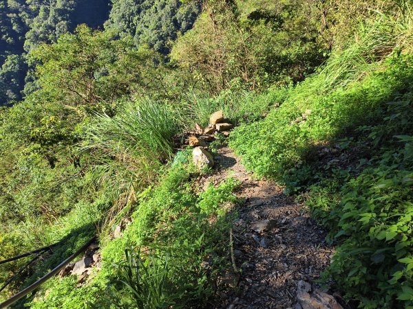 [玉山尋寶任務-07/12] 2025_0824 八通關雲龍瀑布步道2870568