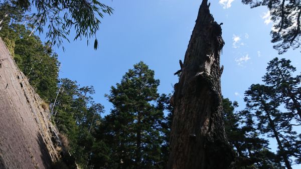 20180323-24玉山主峰295077