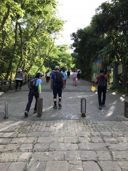 109年6月28日大社觀音山1032679