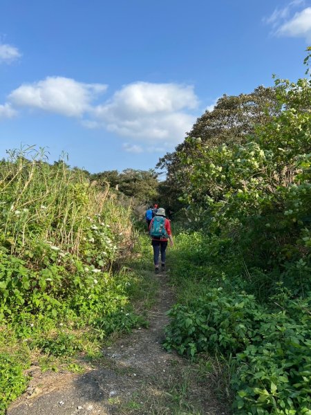 2025-01232淡蘭古道北二段(燦光寮古道到澳底)2696720