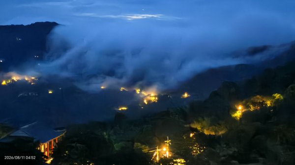 #雲瀑 #藍腹鷴 8/113101481