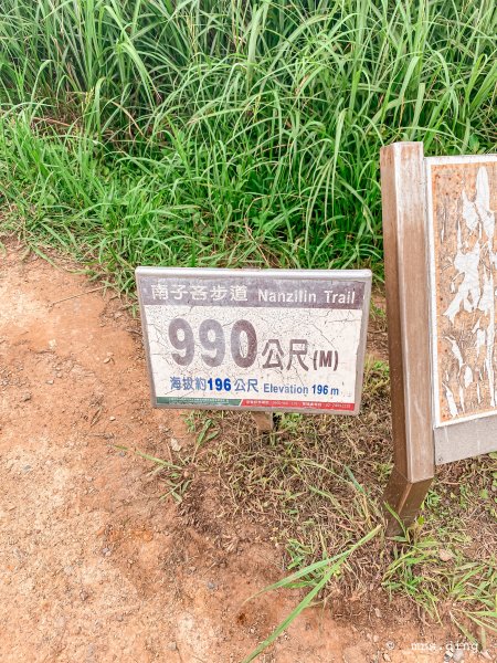 ＜新北市．瑞芳＞南子吝登山步道993999