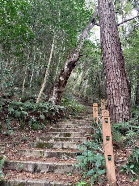 【新竹縣尖石鄉】秀巒軍艦岩步道2833659