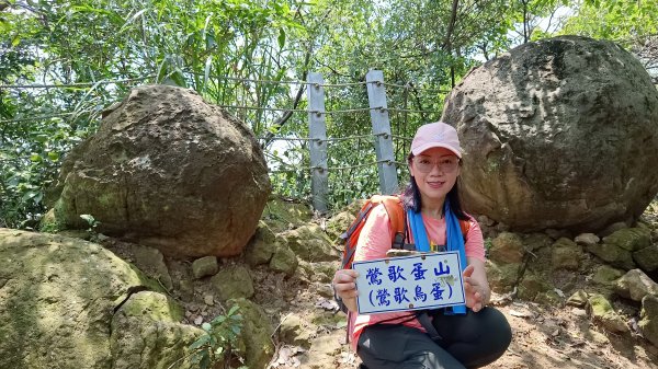 (姨婆趴趴走)第十集:攀登新北鶯歌蛋山，鶯歌郊山步道群縱走(二)2167988