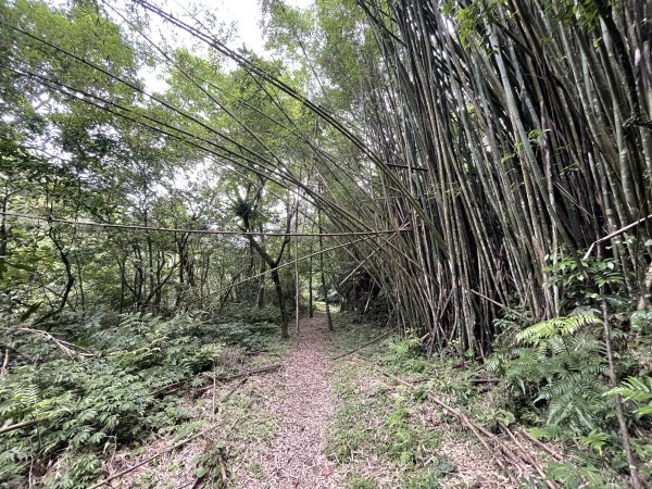 一二三訪虎豹潭古道/虎豹潭步道2649986