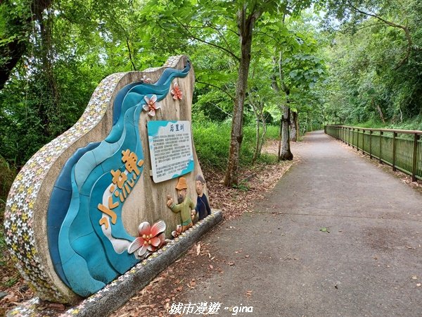 【台中外埔】沿著水圳散散步。 外埔水流東桐花步道1731438