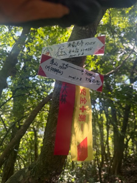 20250601 柑柑柑腳山2801041