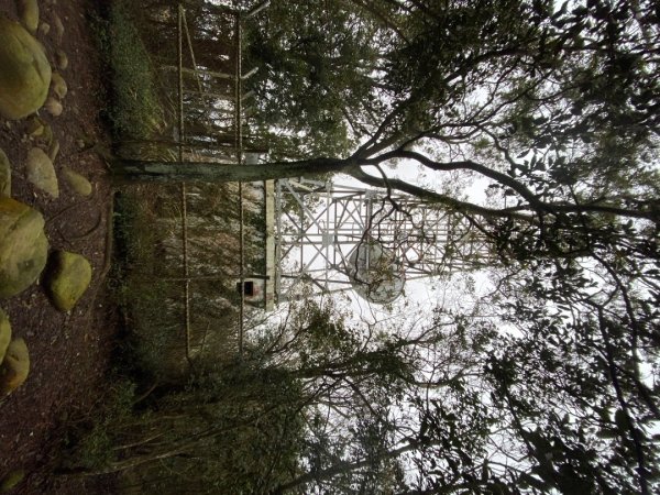 苗栗三義-三員縱走2616461