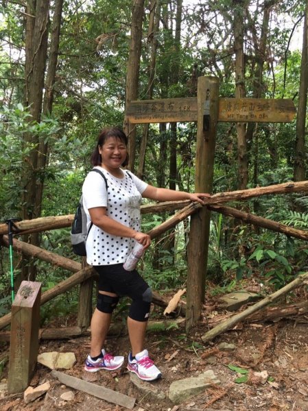 谷關七雄A唐麻丹山戲水,趣480841