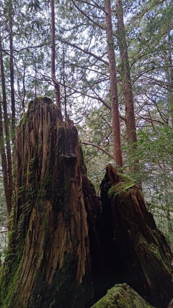 仙女散落的珍珠2723932