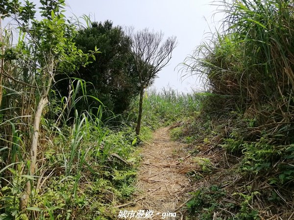 【宜蘭。礁溪】風和日麗好親山。 小百岳集起來。 編號84小百岳~鵲子山1350422