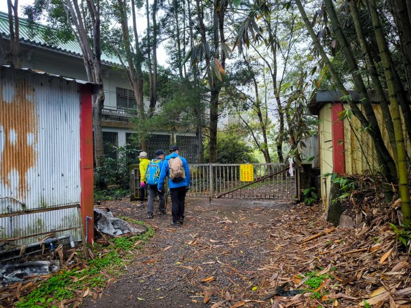 2025-03-08 汶水三山：金童山、汶水山、玉女山 連走2736492