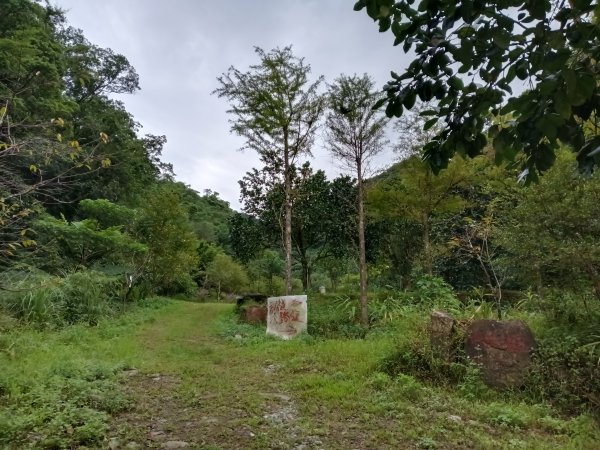 雙溪區中坑古道西線+中坑西山+內盤山土地公廟+中坑古道P字走2895313