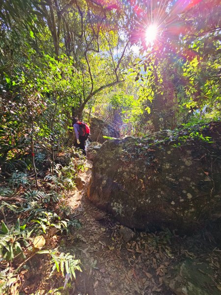 小百岳集起來-三腳南山2184545