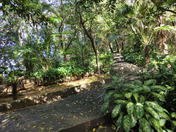 2023.12.14 紅淡山2826454