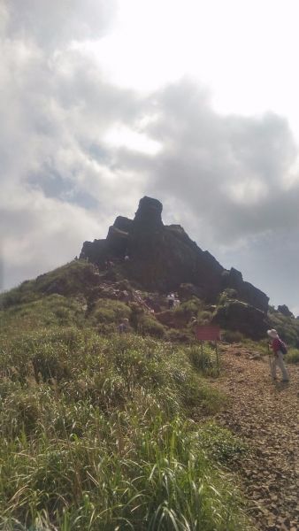 黃金三稜(無耳茶壺山-半平山-燦光寮山)284387