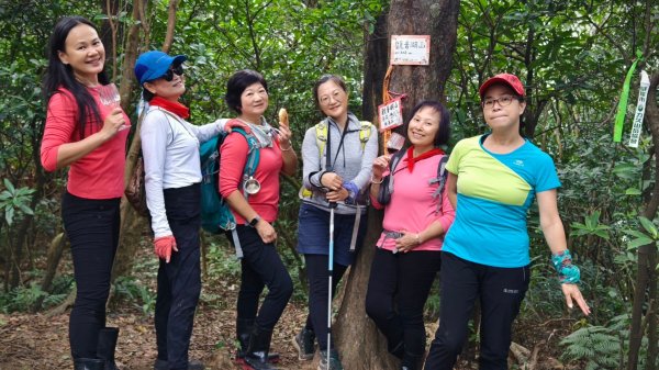 東勢大崙、東勢坑山、觀音湖山O走2986296