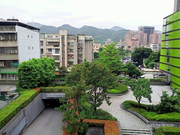 公園尋花問草趣-內湖瑞陽、安湖三號、大港墘、師大公園、師大夜市、大稻埕【走路趣尋寶, 全臺齊步走】2186234