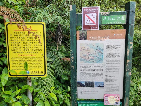 【百岳】雲海的浪漫，羊頭山單攻3045327