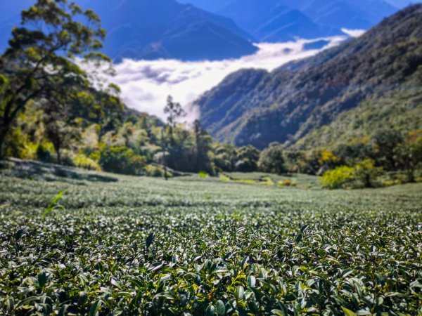 2025-12-21 武界山、獅凸魯山、橫屏山、橫屏山西峰2969678