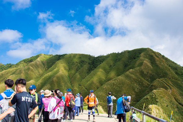 抹茶山1508466