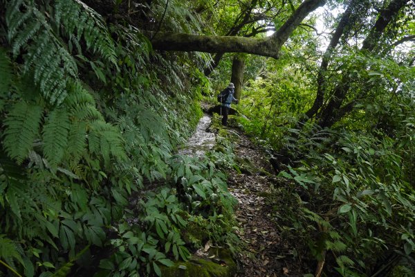 探猴崁水圳步道源頭瀑布1417982