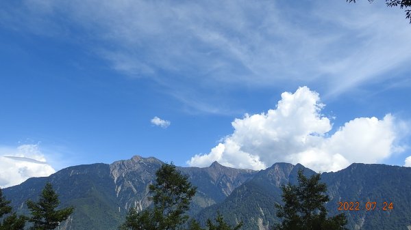 最高小百岳-大塔山2663M&阿里山二延平步道1775111