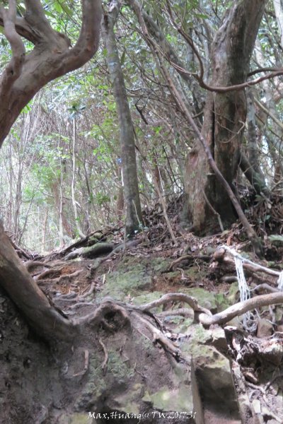 《台中》谷關七雄｜初登屋我尾山201703192890433