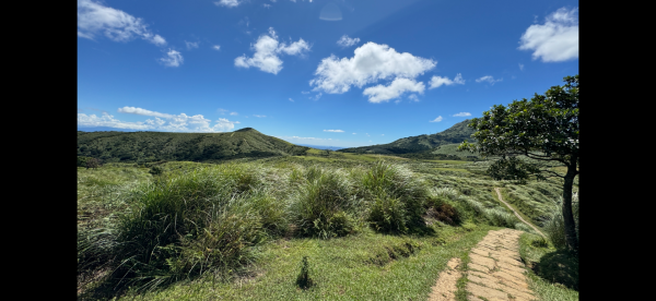 上磺溪橋走魚路古道/金包里城門/擎天崗/冷水坑2872352