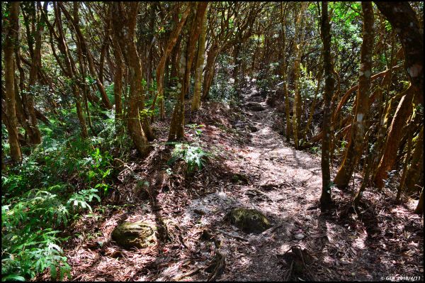 日月潭。翱翔 鷹的視野 ~ 水社大山310709