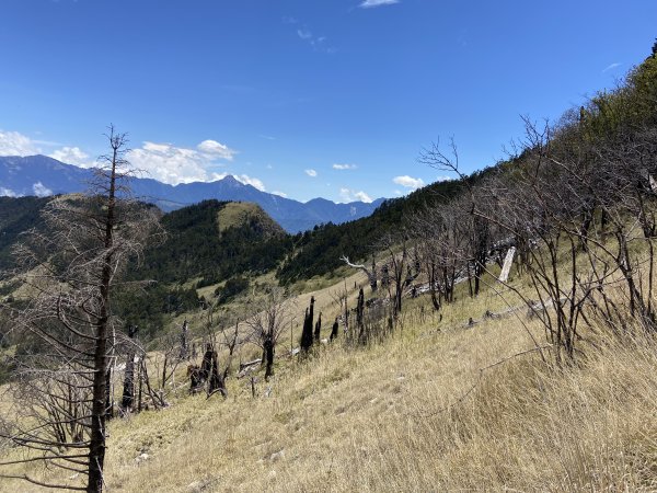 雪山系列------20峰2860727