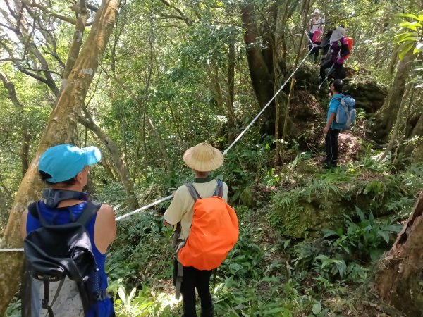 雙溪區豹子廚越嶺保甲路+北豹子廚山+中坑東山稜線O型