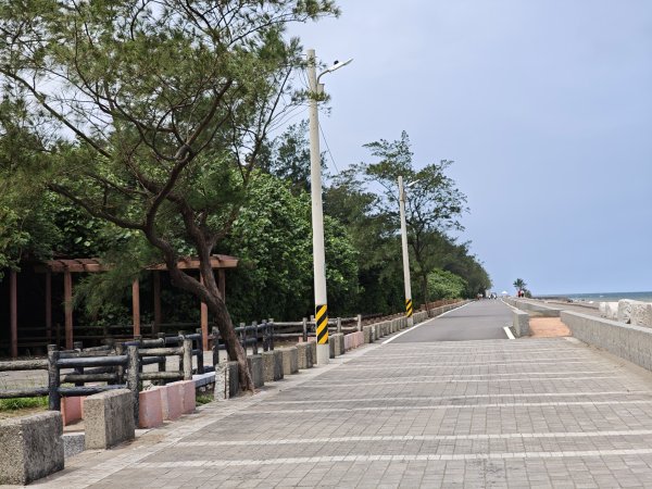 [霄裡好風光，運動樂悠遊！-4/10] 2025_0608 新屋綠色走廊自行車道2808148