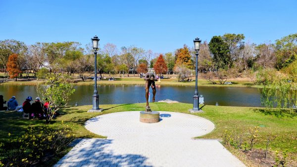 琴弦上的白宮2987562