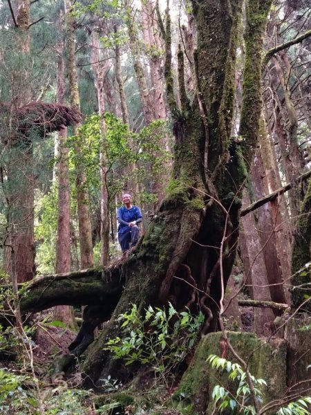 20250517義義兒玉山-東水山2791642