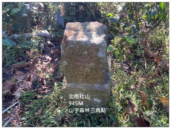逐鹿古道、雨社山(南投、魚池)2667440