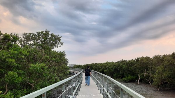 《彰化》海空七夕｜芳苑海空步道濕地紅樹林202408102569273