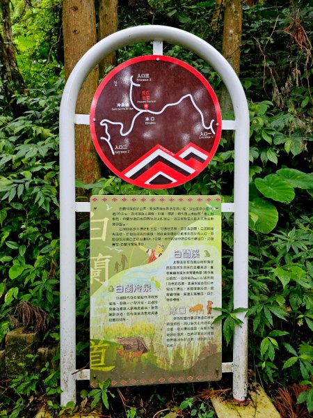 白蘭溪古道-2025森遊竹縣皮皮獅探險隊2895442