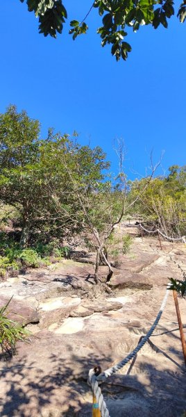 內湖金面山22690008