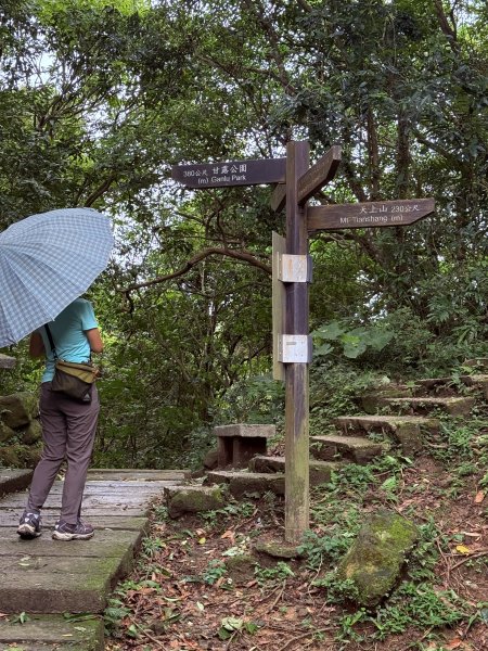 天上山+大棟山 2025.07.202864415