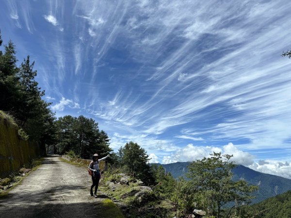 塔塔加楠梓仙溪林道 202506222827112