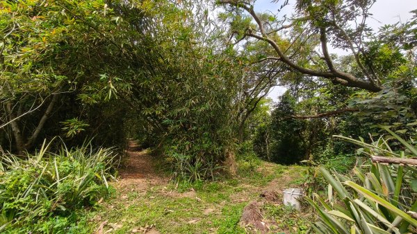 新北深坑，新翠谷登山步道3029711