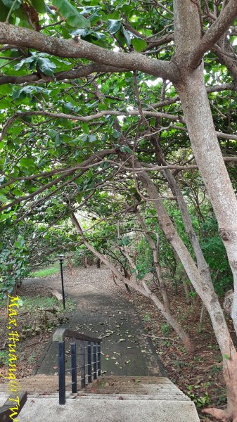 《台中》雙園連走｜東大公園連走都會公園202310072306015