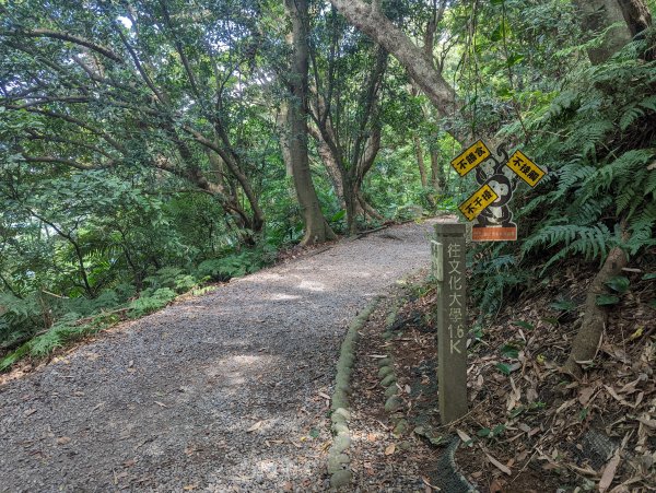 天母水管路步道。橫嶺古道1806546