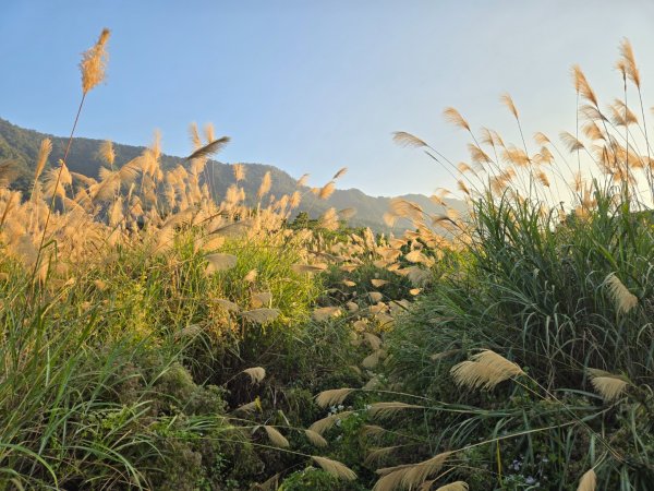 2025-12-30  南化牛港嶺點將石2972707