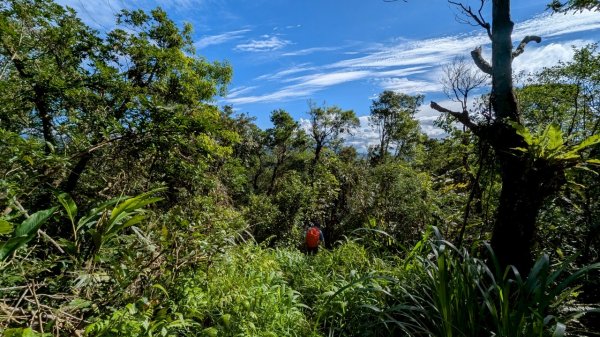 114.06.28內平林山-番子坑山-平湖森林遊樂區之O型2824267